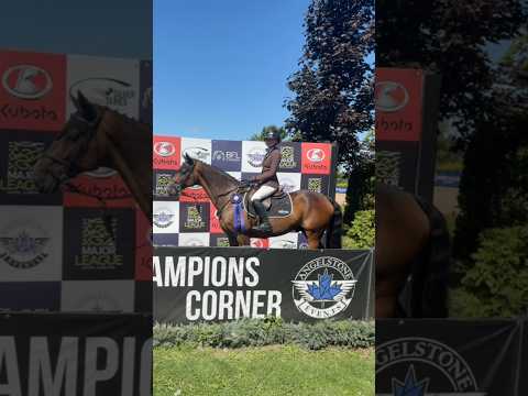 Lakuna, I am ever so grateful to be your rider. 7th in the modified GP out of a competitive field!💜