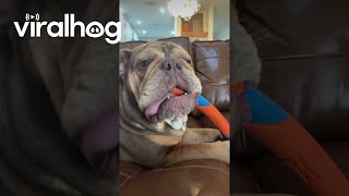 動画サムネイル