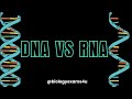 RNA and DNA Concepts