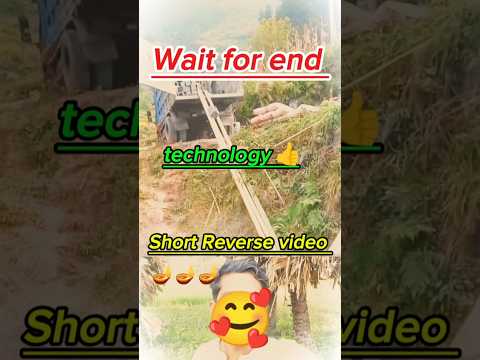 269 I like 👍 this video #laugh #facts #dailyvlog #new #song #music #trend #viralvideos #yt #shorts