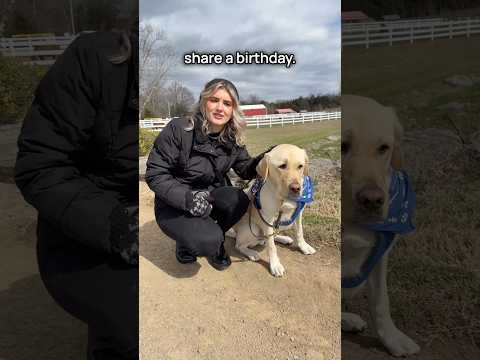 Guide Dog Experiences Barn Animals (ft @DakotaRhodesMusic ) #TheGentleBarn