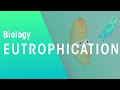 Eutrophication: Causes and Effects in Aquatic Systems