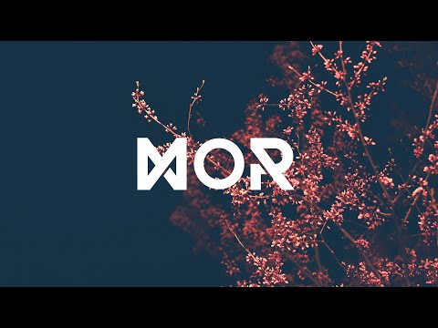 Nomyn & Veela - Bloom
