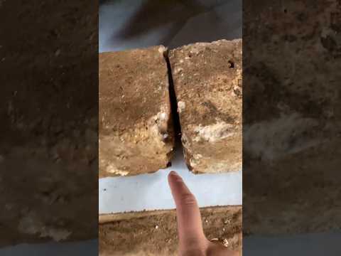 BIAR GAK ADA SEMUT MASUK 😭 #videoshort