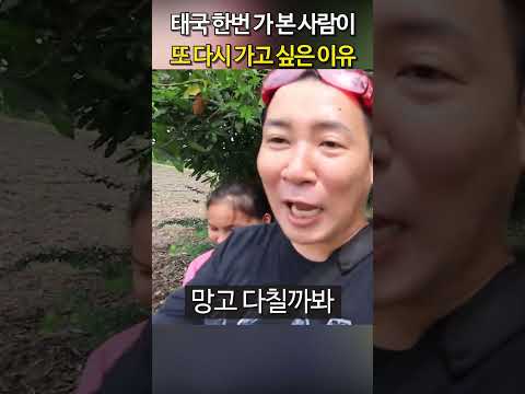 태국 한번 가 본 사람이 태국에 또 다시 가고 싶어하는 이유
