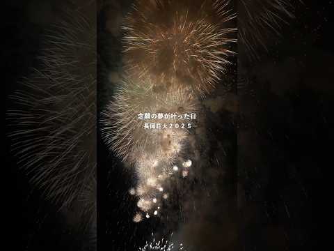 長岡花火2025、念願叶った日 #shorts