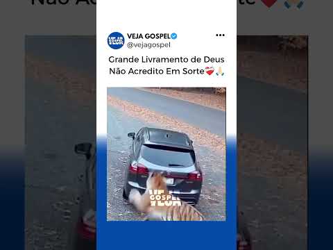 Veja Livramento de Deus 🙏🏻❤️🩹