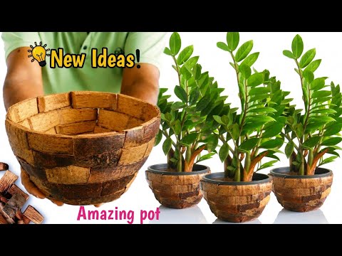 Unique Coconut husk Planter pot DIY | Best Waste to Garden Ideas | Home Decorating Ideas