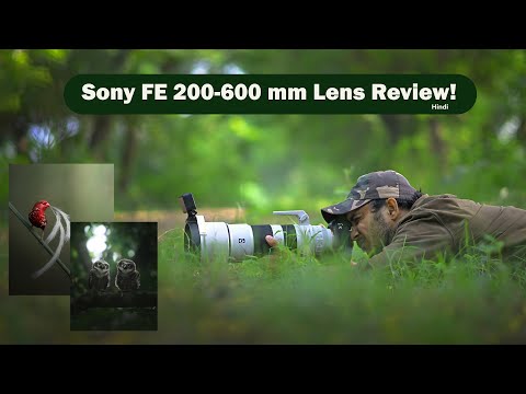 Sony 200-600mm lens Review , Sony 200-600mm lens Wildlife Photography , Sony Alpha 1 Review