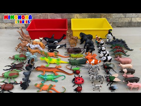 Colección de familia de animales 🐞🦎 Moscas Orcas Lagartos Saltamontes y mas ✨ Mimonona Stories