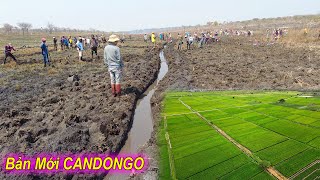 Linh Philip || Quá Bất Ngờ Với Khả Năng Làm Việc Của Người Dân Bản Mới CANDONGO !
