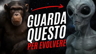 La PROVA dell'Esistenza di DIO è Nascosta in una Particella?