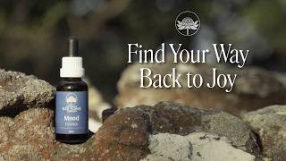 Find Your Way Back To Joy | Mood Essence