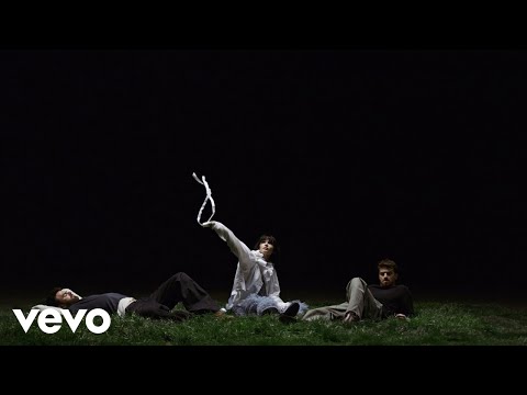 The Chainsmokers, Oaks - Wild (Official Visualizer)