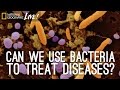 Microbial World and Its Influence on Human Biology