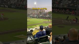 Watch The Ball Fly