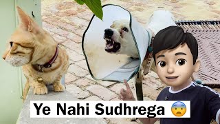 Bille Ke Nakhre 😳 Pray For Pitbull 🙏🏻