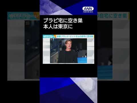 ニュースの動画サムネイル - 【正面からフェンス乗り越え侵入】俳優ブラッド・ピットさんの自宅に空き巣　発生当時、本人は東京に #shorts