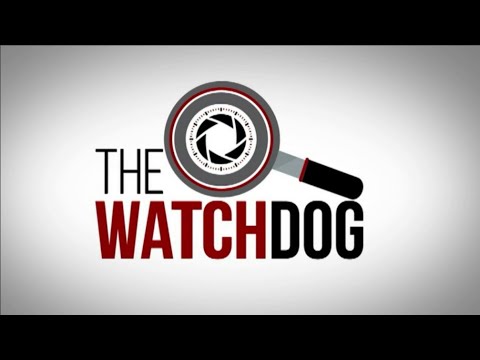 The Watchdog I 25 February 2022