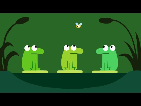 Animanimals: Fly