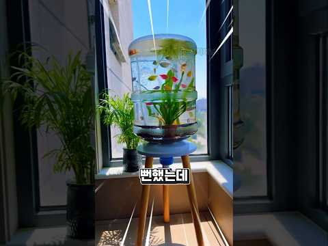 생수통이 이렇게 변신한다고? 놀라운 DIY 수족관 😱