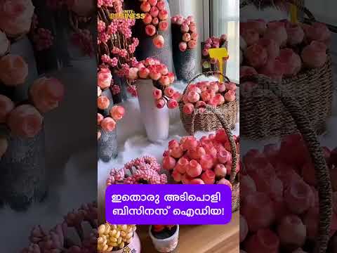 നിങ്ങൾ ഇതുവരെ കാണത്തൊരു ബിസിനസ് ഐഡിയ | NEW BUSINESS IDEA
