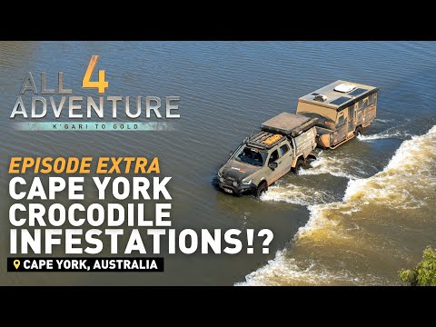 🔥 East Coast Cape York OVERRUN BY CROCODILES!? Jesse shares his thoughts.