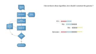 BIOINFO101: Genome assembly/ De novo genome