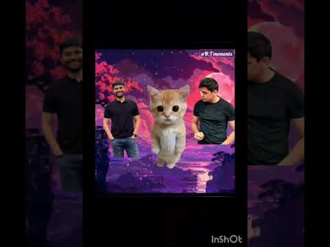 @PrashantKiradvlogs @DigrajSinghRajput214 🤭🤣 #ytshorts #funny #nexttoppers #viral 