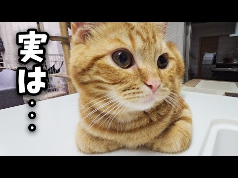 今まで黙っていたことをお話します...