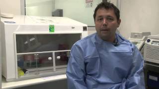 Módulo 2 | Biologia do Aedes aegypti