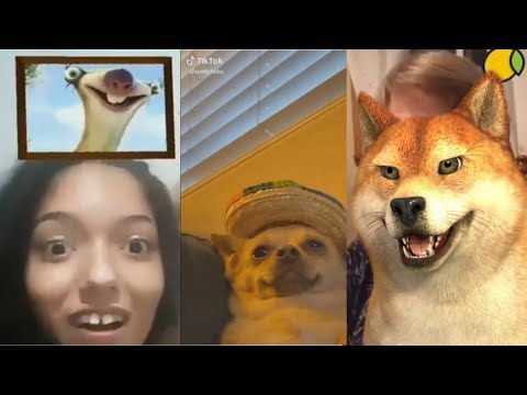 O TENTE NÃO RIR mais ALEATÓRIO que você vai ver hoje... {VTuber}