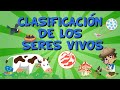 Reinos Biológicos y Organismos