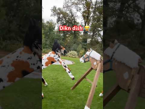 Dikn dish Trend ๐๐ญ #holzpferd #woodenhorse #viral #fyp #funny #trend #horse #equestrian #pony