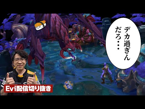 【チョ＝ガス vs ライズ】デカ過ぎんだろ… チャンピオンを食い荒らしバロンよりもでかい最強の化け物になるえび 【SHG Evi】
