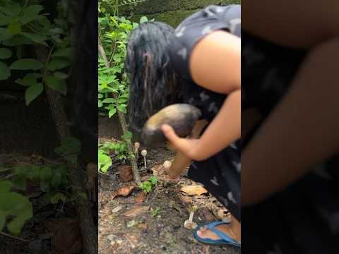 താത്തൂന് അറിയില്ല‼️#trending #viral #tips #shorts #shortvideo #snake