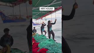ARK HOUSE #wisespade7