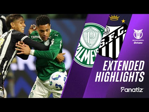 Palmeiras vs. Santos 2-0 I Game Highlights I Brasileirão 2025