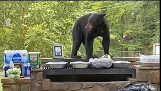 Family reunion rule #1: Don’t leave your plate unattended🤣🤣
