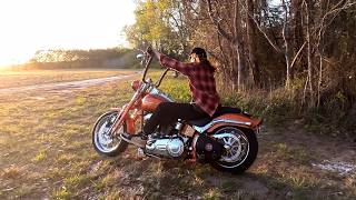 Harley-Davidson '08 Screaming Eagle Springer CVO | river ride photoshoot for my next painting