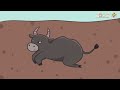 Understanding Earthquakes and Their Causes