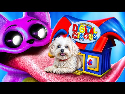 Мы построили секретный домик! Помни vs КетНеп! Poppy Playtime Chapter 3!
