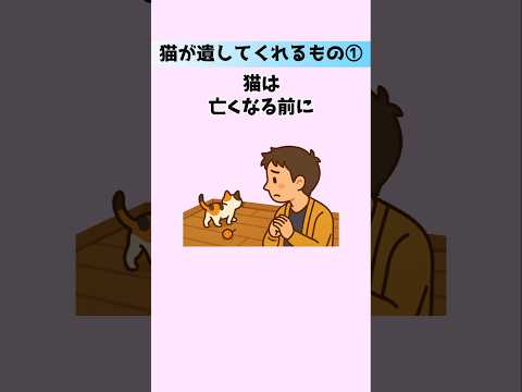 猫の動画サムネイル - 【猫との深い絆①】猫が遺した見えない贈り物に涙が止まらない！猫がくれた記憶とこれからも生きる飼い主さんへの言葉15選 #猫 #雑学 #豆知識 音声「VOICEVOX：ずんだもん」さん