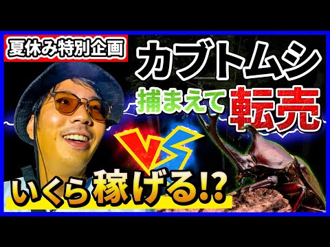 【検証】一攫千金！超高額カブトムシを捕まえて転売したらいくら稼げるのか