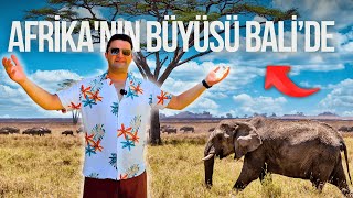 BALİ'DE AFRİKA PLATOSU !! GECE SAFARİSİ MACERASI @buket_karakurt 🇮🇩 ~ 412