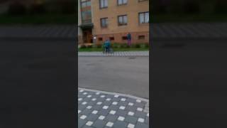Stará bába hustý