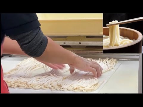 【特別】丸亀のうどん製麺機　作るだけの動画