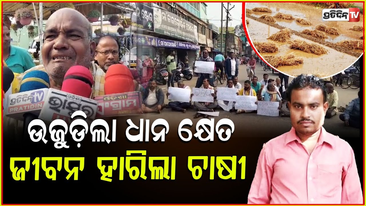 ବାପାଙ୍କୁ ବୁଝେଇବ କିଏ, ଯୁବଚାଷୀ କୃତିବାସ ଉଜୁଡ଼ିଲା ୪ ଏକର ଫସଲ ! Farmer krutibas dies, Jagatsinghpur.