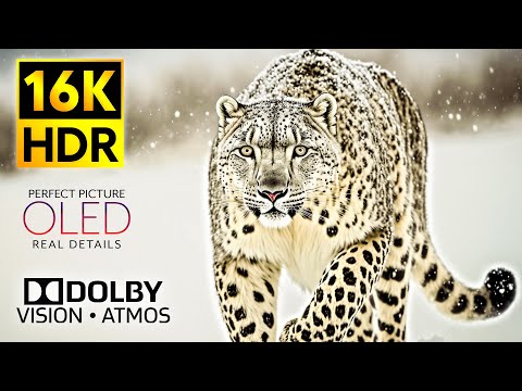 Majestic Dolby Vision 16K HDR ULTRA HD 60fps Video - 8K TV