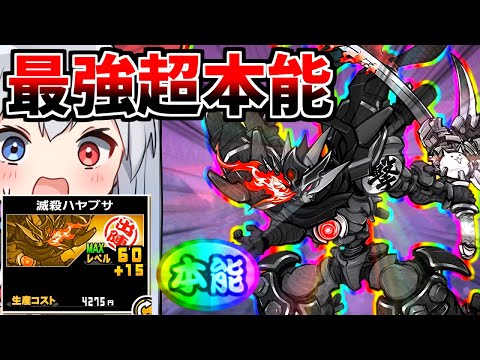 猫の動画サムネイル - 最強超本能で超強化！強くなりすぎたハヤブサがやばすぎた！【にゃんこ大戦争】【ゆっくり実況】２ND#573